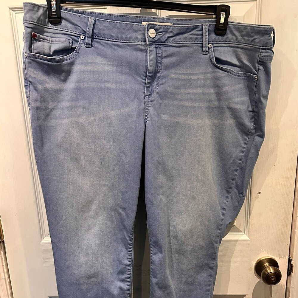 Slink Denim mid rise ankie skinny 22